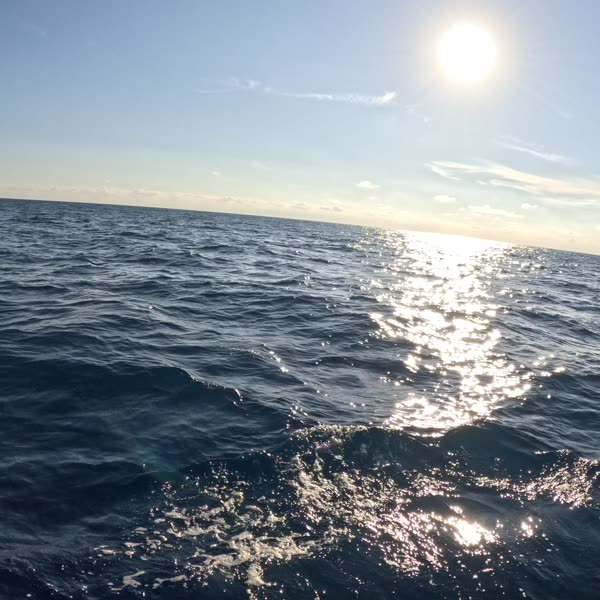 Deep water. Steady breath. Just another Tuesday.